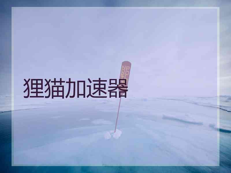 狸猫加速器