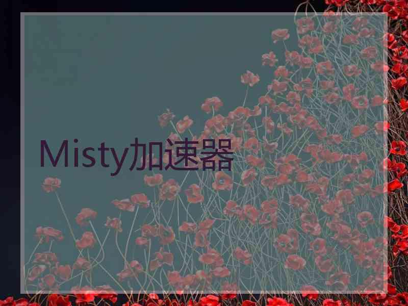 Misty加速器