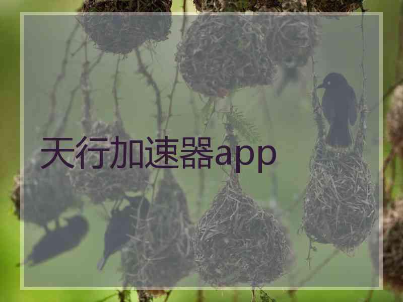 天行加速器app