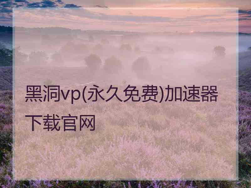 黑洞vp(永久免费)加速器下载官网