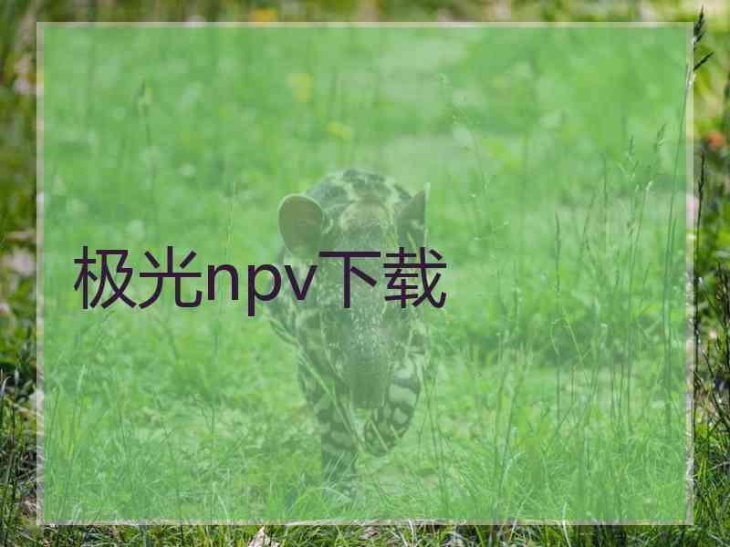 极光npv下载