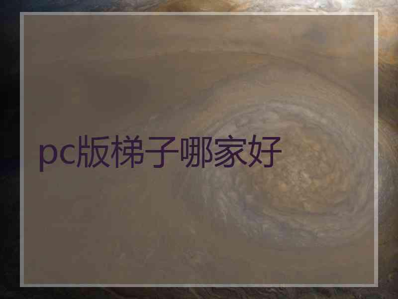 pc版梯子哪家好