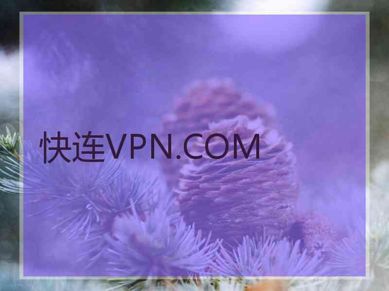 快连VPN.COM