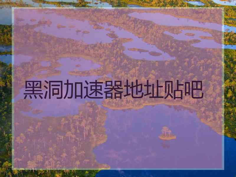 黑洞加速器地址贴吧