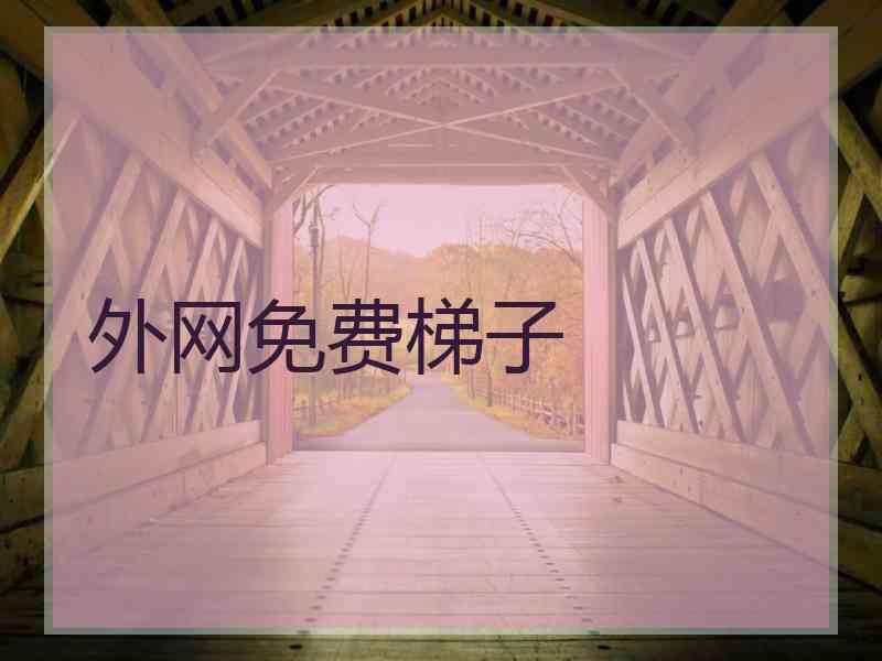 外网免费梯子