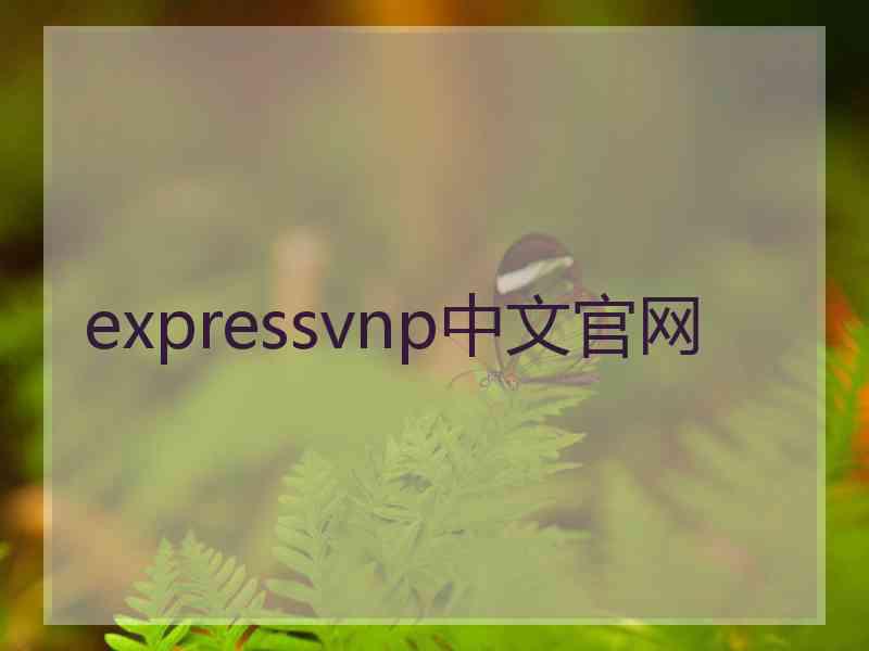 expressvnp中文官网