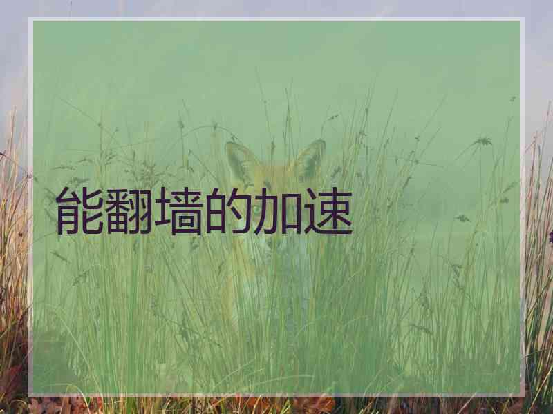 能翻墙的加速