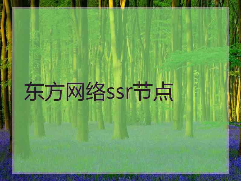 东方网络ssr节点