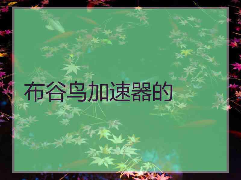 布谷鸟加速器的