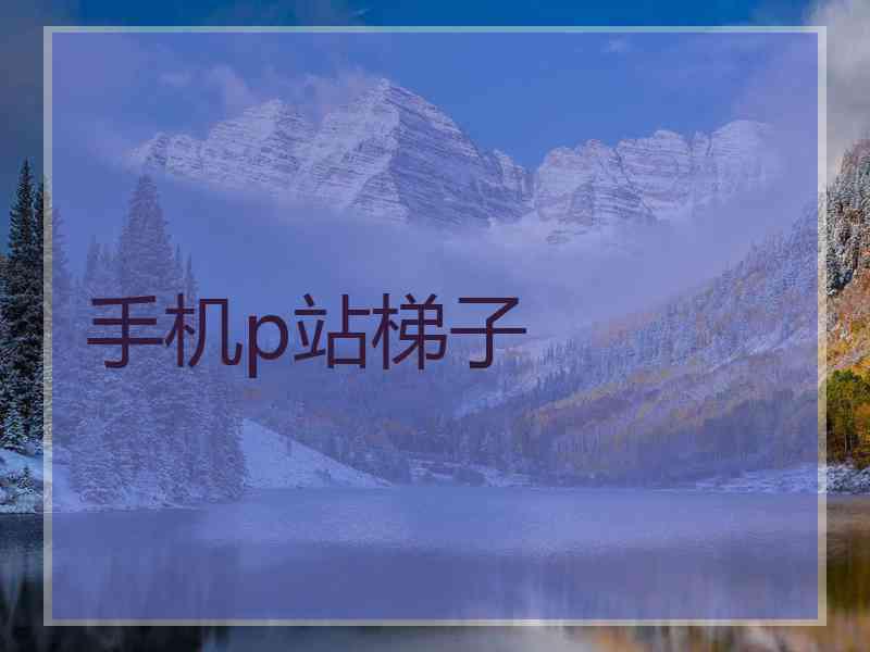 手机p站梯子