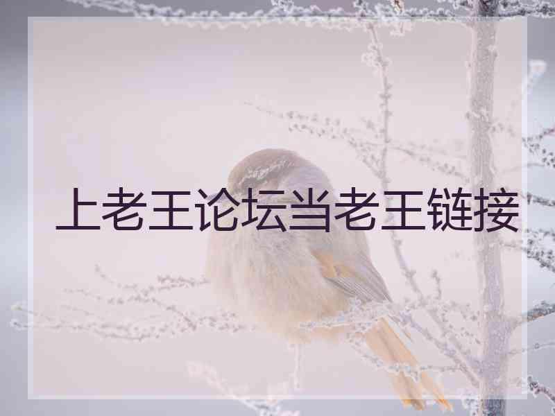 上老王论坛当老王链接