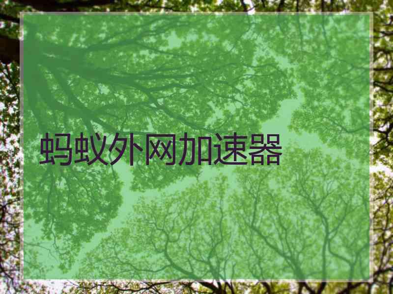 蚂蚁外网加速器