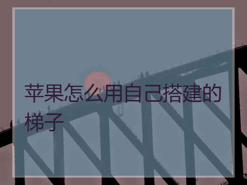 苹果怎么用自己搭建的梯子