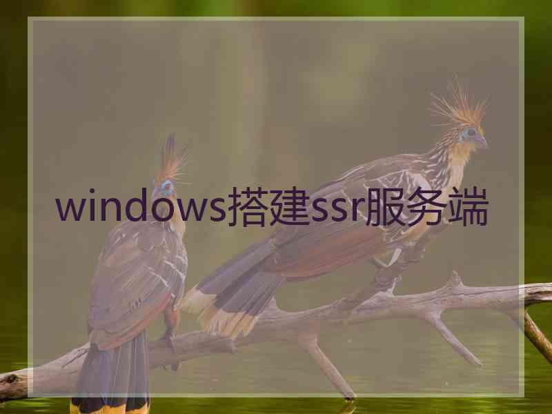 windows搭建ssr服务端