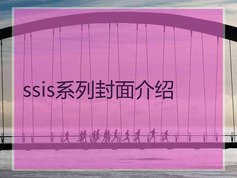 ssis系列封面介绍