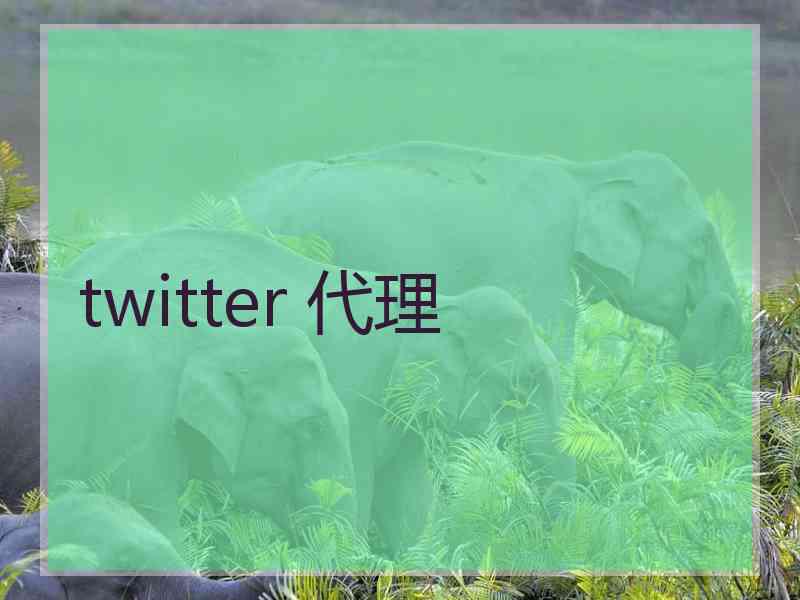 twitter 代理