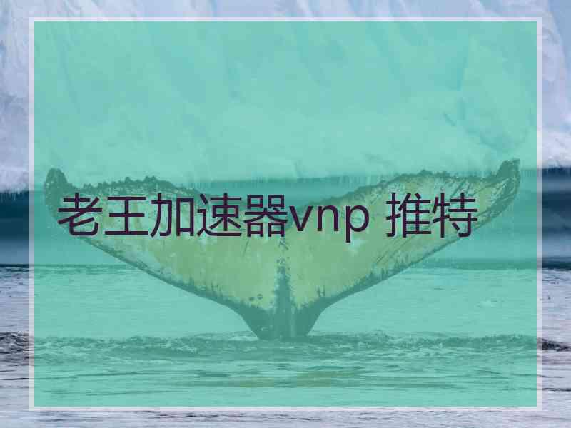 老王加速器vnp 推特