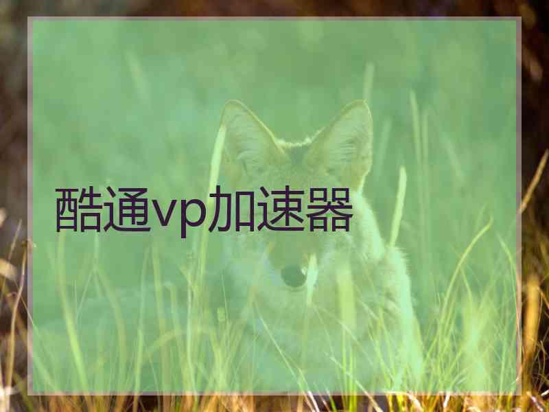 酷通vp加速器