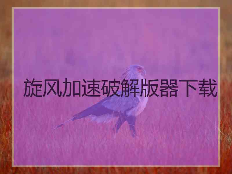 旋风加速破解版器下载