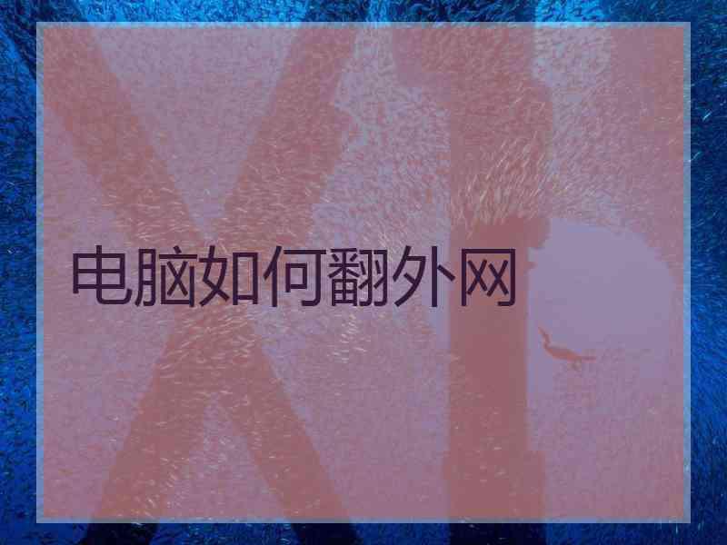 电脑如何翻外网