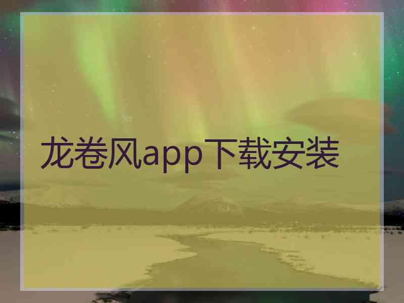 龙卷风app下载安装