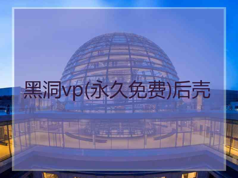 黑洞vp(永久免费)后壳