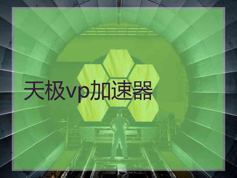 天极vp加速器