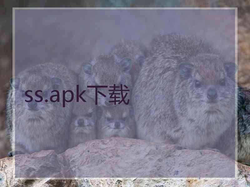 ss.apk下载