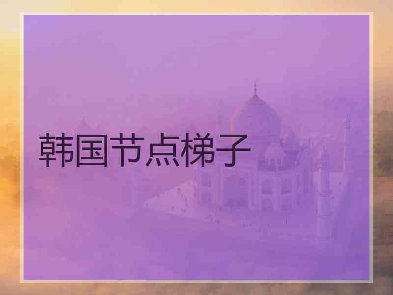 韩国节点梯子