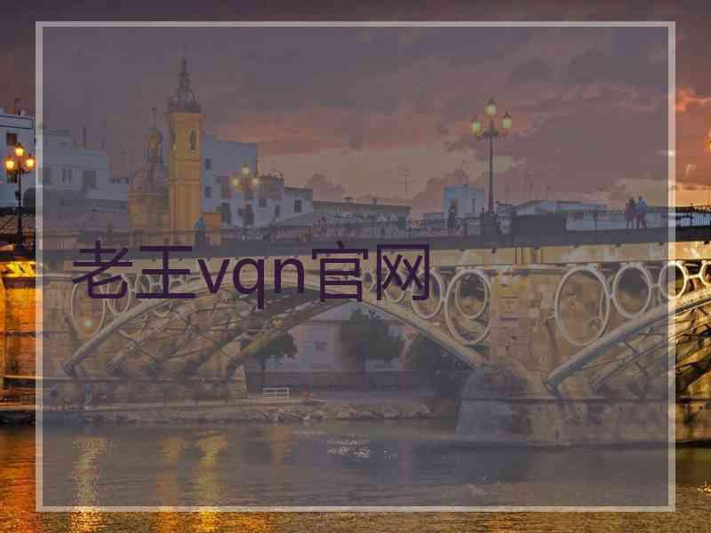 老王vqn官网