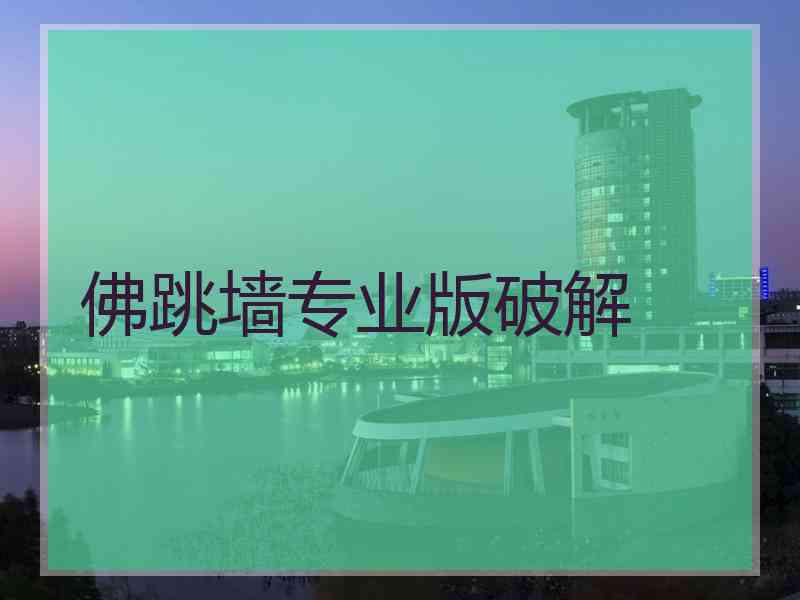 佛跳墙专业版破解