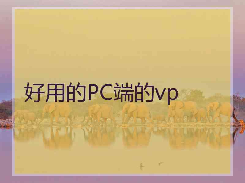 好用的PC端的vp
