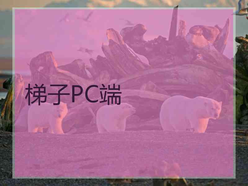 梯子PC端