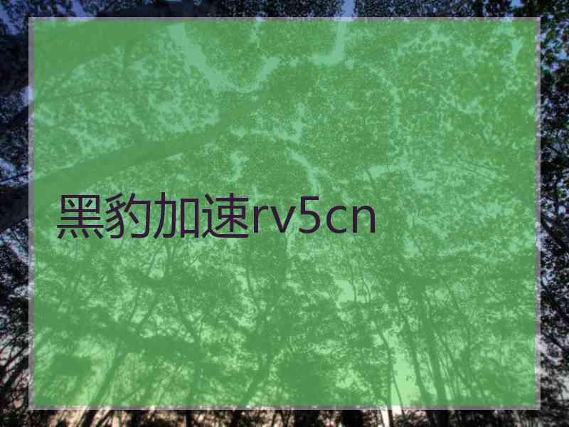 黑豹加速rv5cn