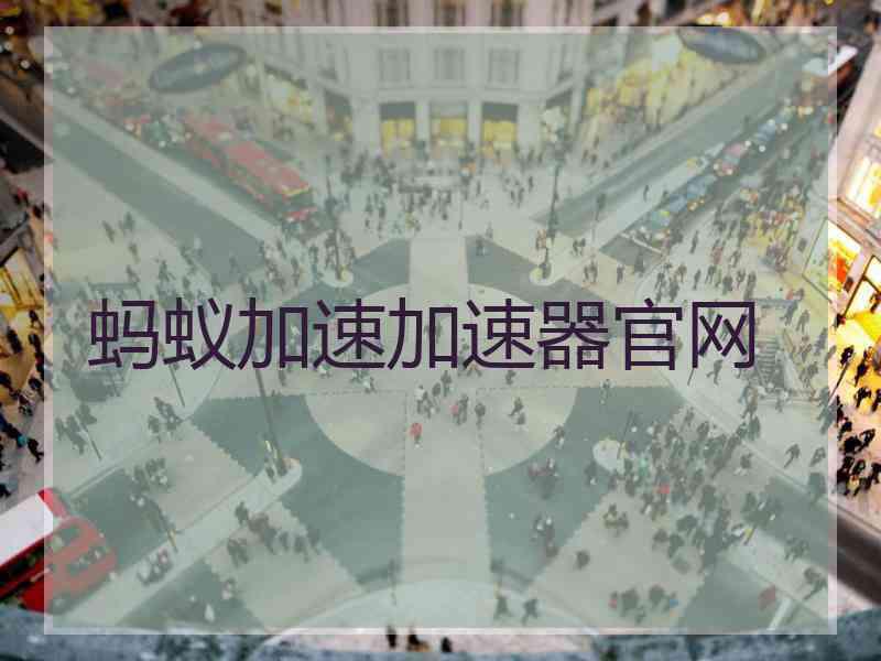 蚂蚁加速加速器官网