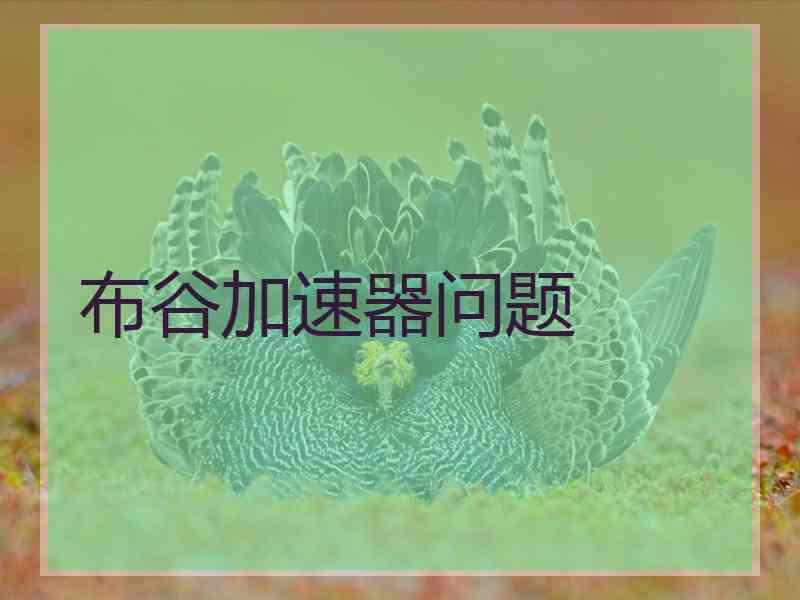 布谷加速器问题