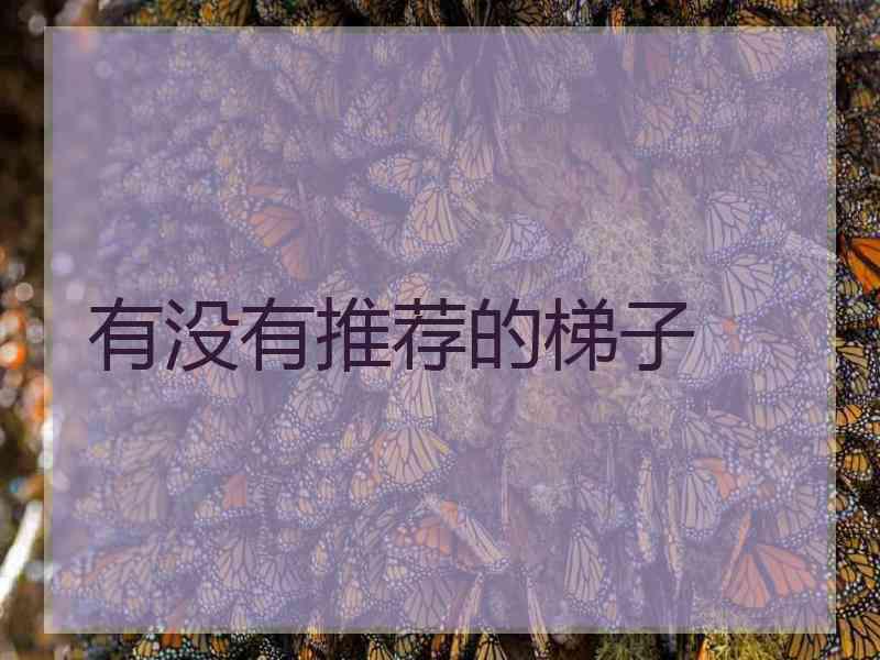 有没有推荐的梯子