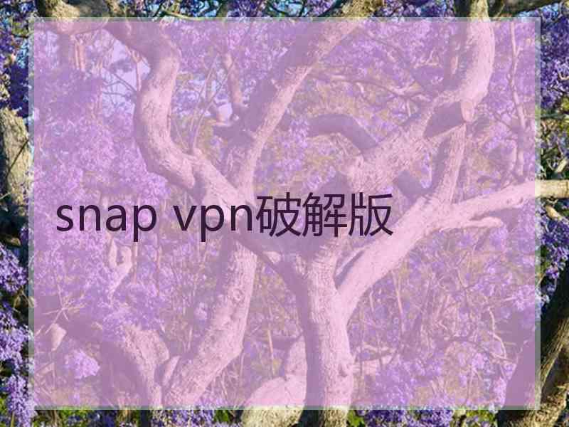 snap vpn破解版