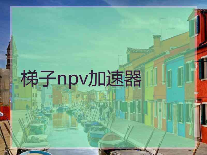 梯子npv加速器