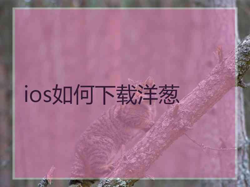 ios如何下载洋葱