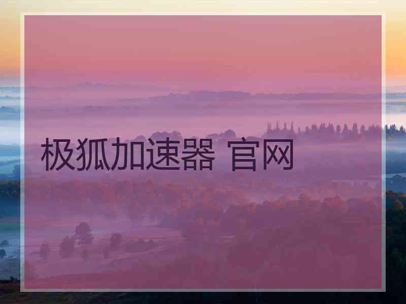 极狐加速器 官网