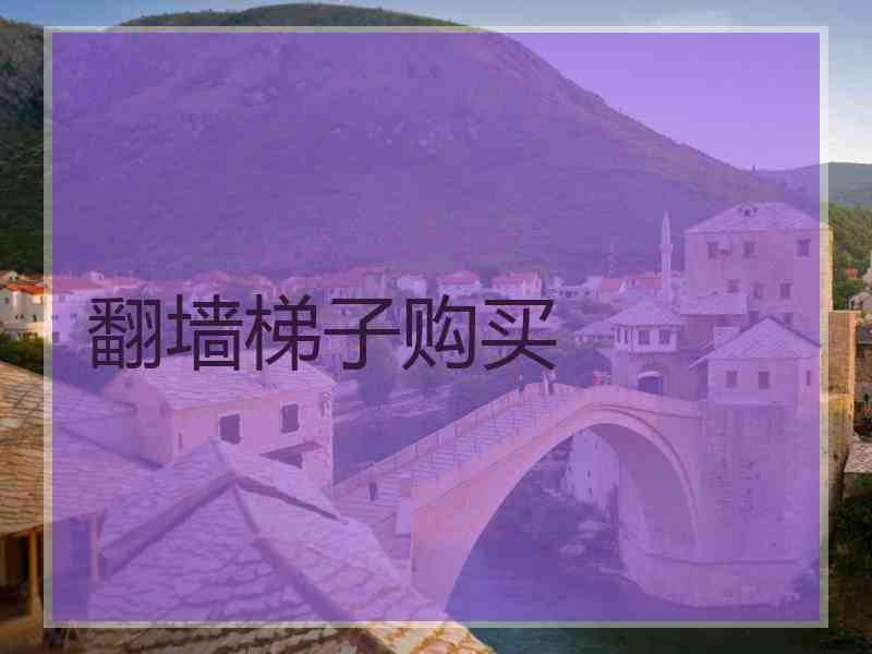 翻墙梯子购买