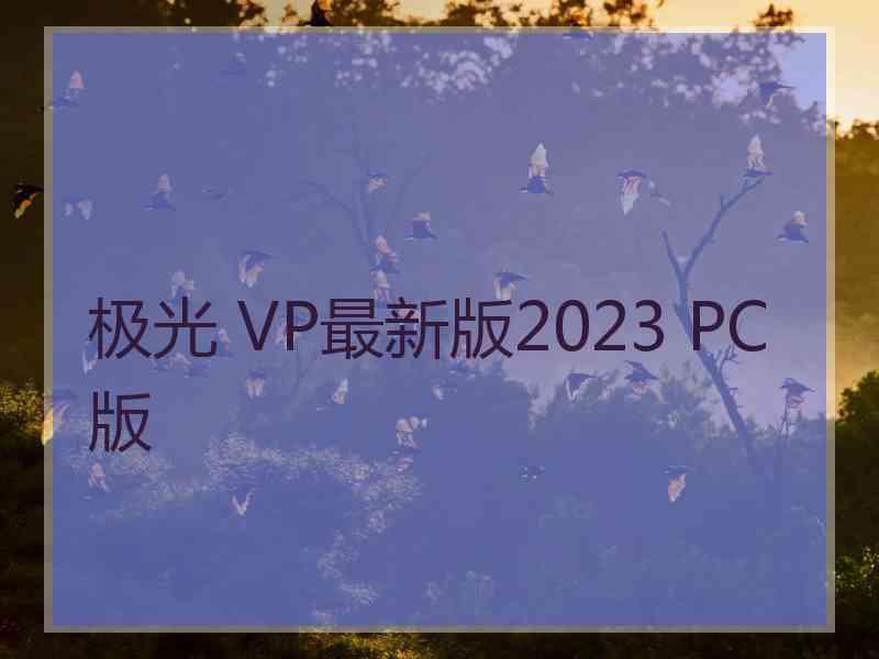 极光 VP最新版2023 PC版