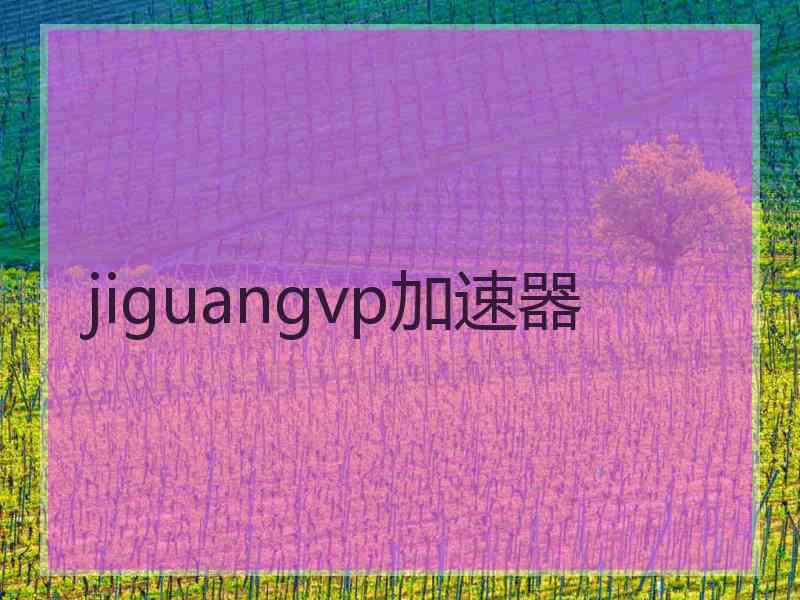 jiguangvp加速器