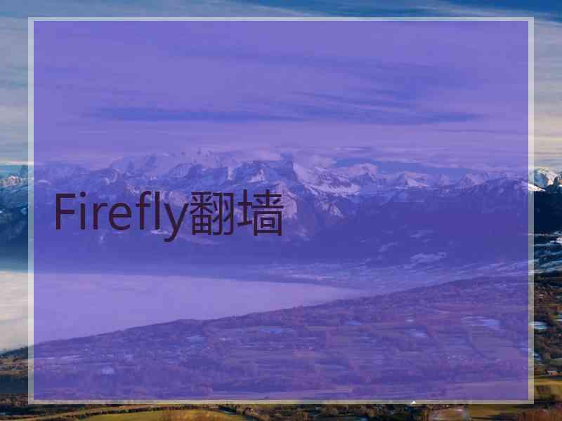 Firefly翻墙