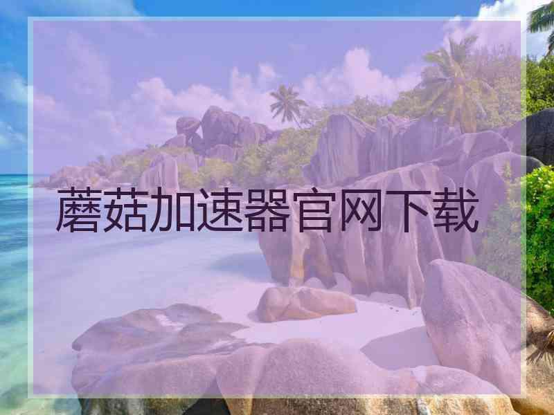 蘑菇加速器官网下载