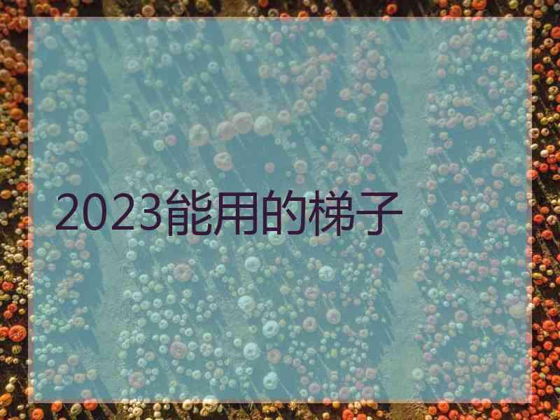 2023能用的梯子