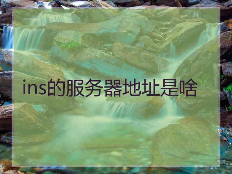 ins的服务器地址是啥