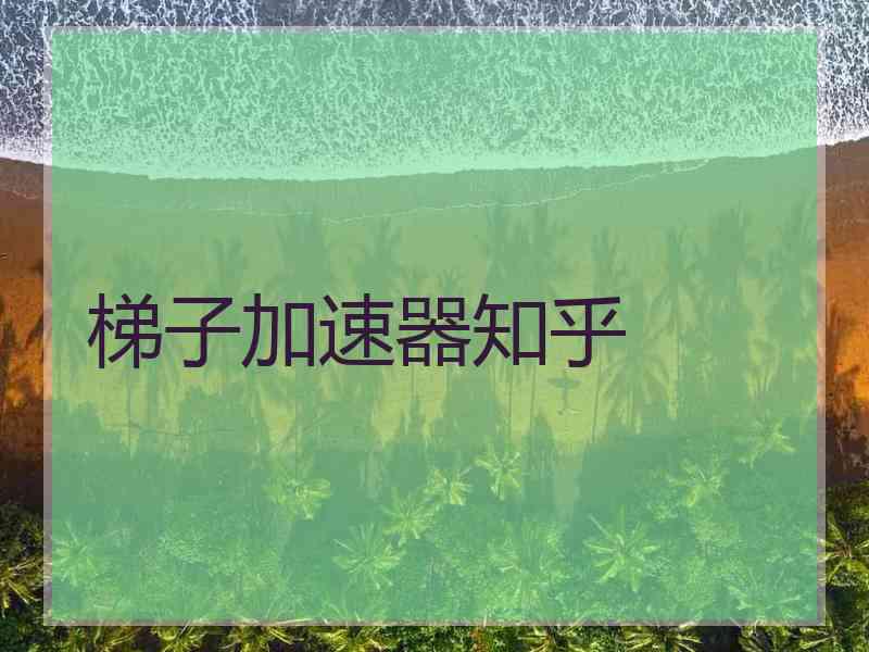 梯子加速器知乎