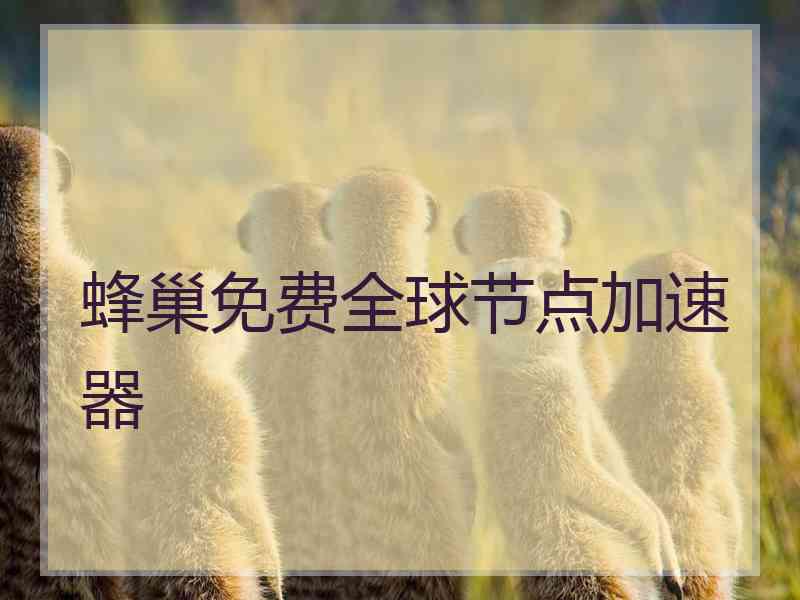 蜂巢免费全球节点加速器